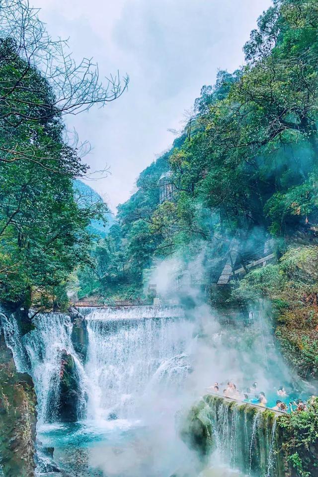 我想知道怎样减肥——专业问答网站